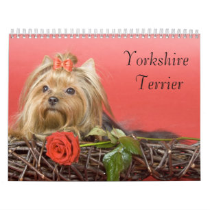 Yorkshire Terrier kalender