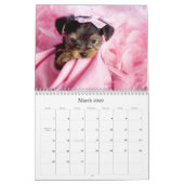 Yorkshire Terrier kalender (Mar 2026)