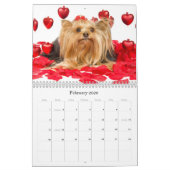 Yorkshire Terrier kalender (Feb 2026)
