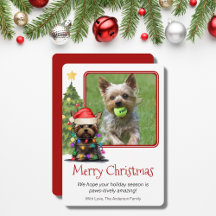 Yorkshire Terrier-kerstbal Dog One-foto