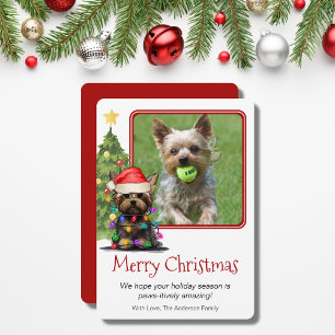Yorkshire Terrier-kerstbal Dog One-foto Feestdagenkaart