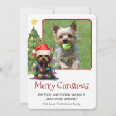 Yorkshire Terrier-kerstbal Dog One-foto Feestdagenkaart (Voorkant)