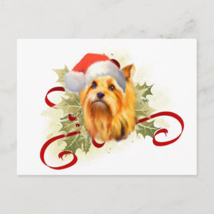 Yorkshire Terrier-kerstBriefkaart Feestdagenkaart