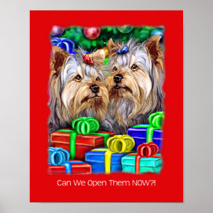 Yorkshire Terrier-kerstcadeaus Poster