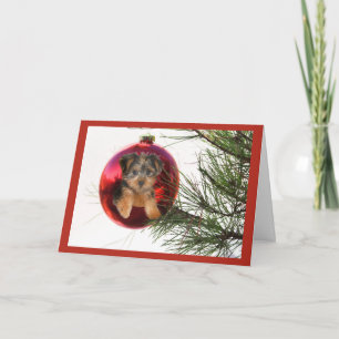 Yorkshire Terrier-kerstkaart Ball Hanging Feestdagen Kaart