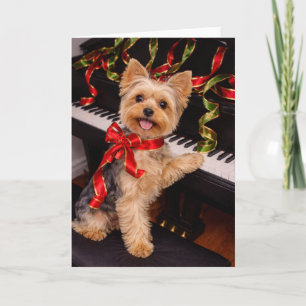 Yorkshire Terrier Kerstkaart met Piano Feestdagen Kaart