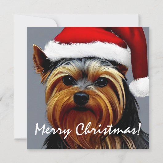 Yorkshire Terrier Kerstmis (Voorkant)