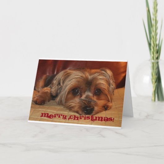 Yorkshire Terrier-kerstWenskaart Feestdagen Kaart (Voorkant)