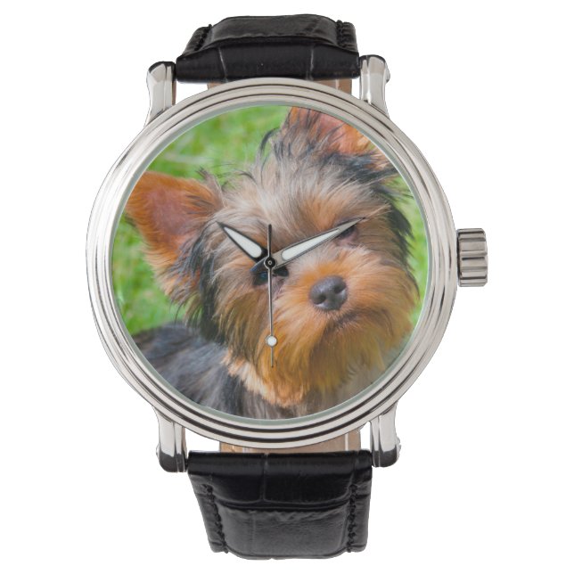 Yorkshire Terrier kijkt omhoog Horloge (Voorkant)