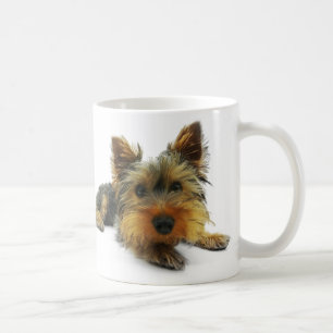 Yorkshire Terrier Koffiemok