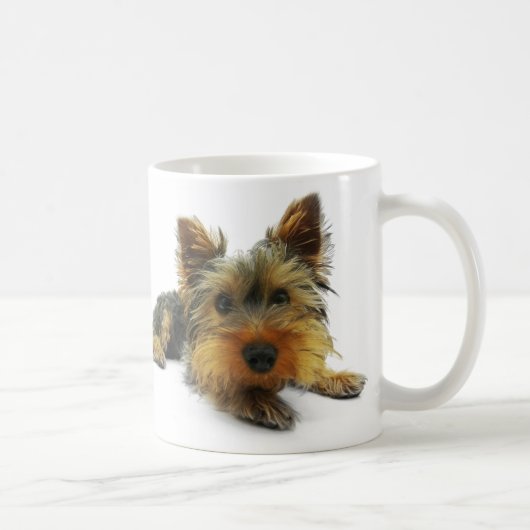 Yorkshire Terrier Koffiemok (Rechts)