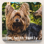 Yorkshire Terrier Kunststof Onderzetters (Voorkant)