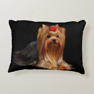 Yorkshire Terrier. Kussen