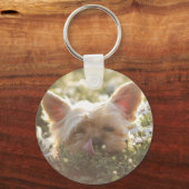 Yorkshire Terrier Laying in Sun licking lips Sleutelhanger (Voorkant)