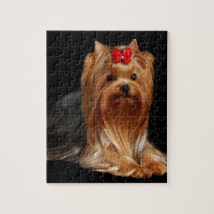 Yorkshire Terrier Legpuzzel