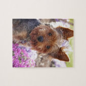 Yorkshire Terrier Legpuzzel (Horizontaal)