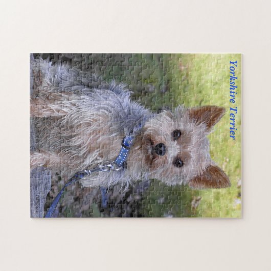 Yorkshire Terrier Legpuzzel (Horizontaal)