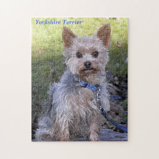 Yorkshire Terrier Legpuzzel (Verticaal)