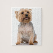 Yorkshire Terrier Legpuzzel (Verticaal)