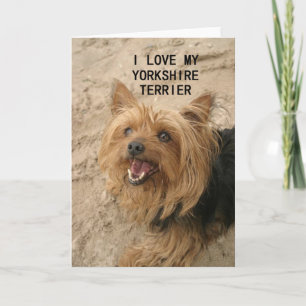 yorkshire terrier liefde met zwart en bruin plaatj kaart