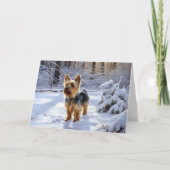 Yorkshire Terrier liet het sneeuwen Kerstmis Kaart (Voorkant)
