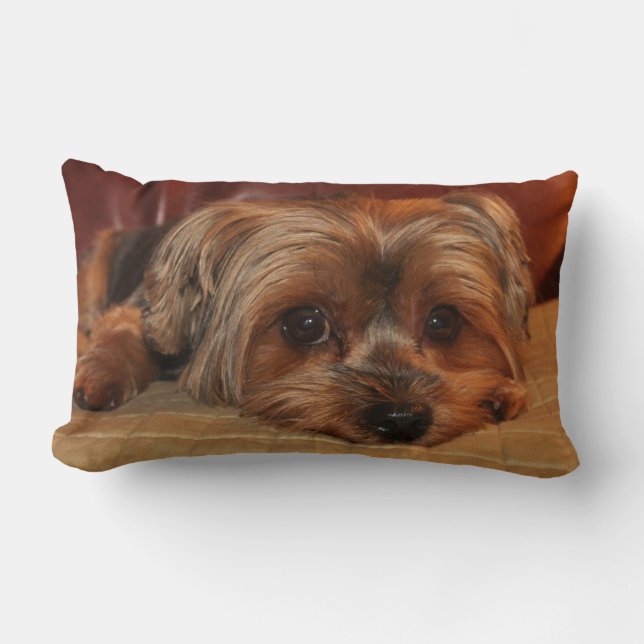 Yorkshire Terrier Lumbar Pillow Kussen (Voorkant)