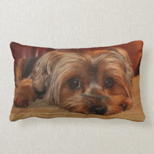 Yorkshire Terrier Lumbar Pillow Kussen
