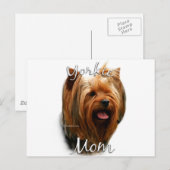 Yorkshire Terrier Ma 2 Briefkaart (Voorkant / Achterkant)