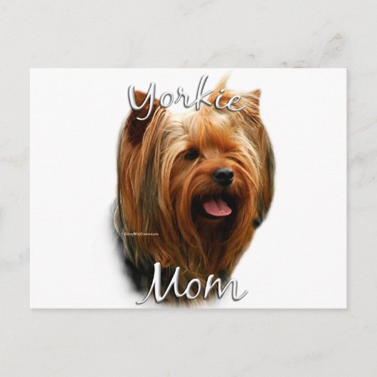 Yorkshire Terrier Ma 2 Briefkaart (Voorkant)