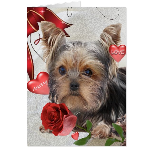 Yorkshire Terrier Ma Cards (Voorkant)