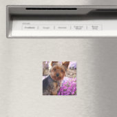 Yorkshire Terrier Magneet (Insitu (Vaatwasser))