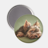 Yorkshire Terrier Magneet (Voorkant / Achterkant)