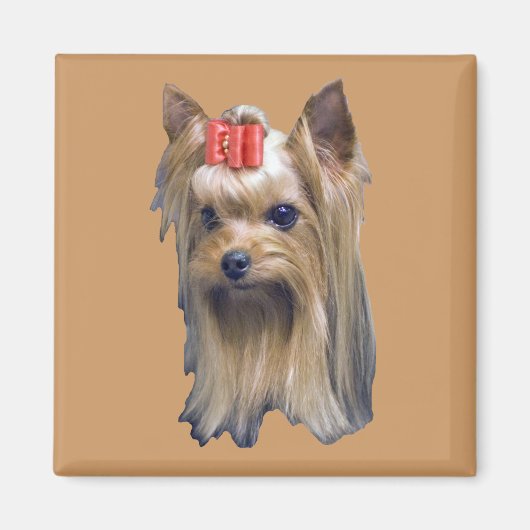 Yorkshire Terrier Magneet (Voorkant)