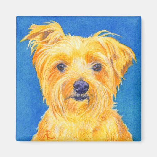 Yorkshire Terrier Magnet - "Sammy" (Voorkant)