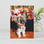 Yorkshire Terrier met kerstmis Feestdagenkaart (Staand voorkant)