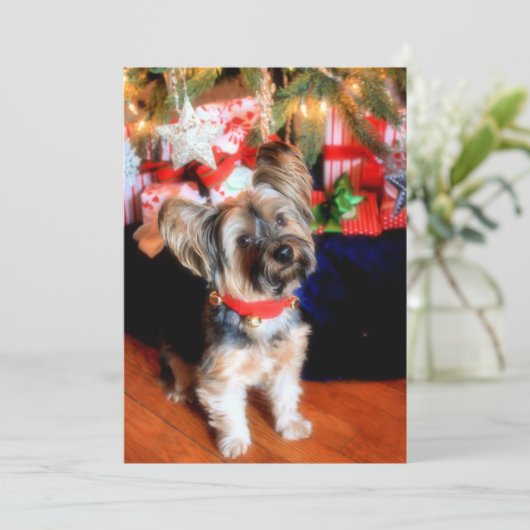 Yorkshire Terrier met kerstmis Feestdagenkaart (Staand voorkant)
