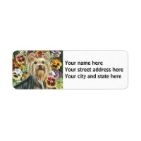 Yorkshire Terrier met Pansies