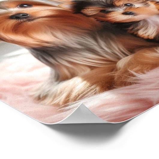 Yorkshire Terrier moeder en haar puppy Poster (Hoek)