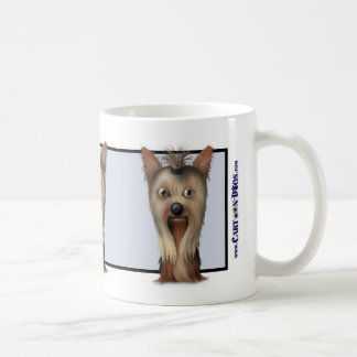 Yorkshire Terrier Mok