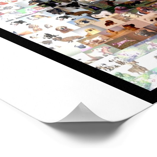 Yorkshire Terrier Montage Poster (Hoek)