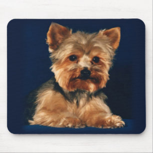 Yorkshire Terrier Mousepad Muismat