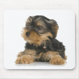 Yorkshire Terrier Mousepad Muismat