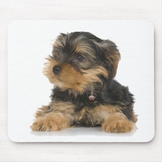 Yorkshire Terrier Mousepad Muismat (Voorkant)