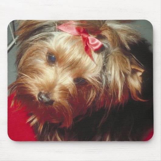 Yorkshire Terrier Muismat (Voorkant)