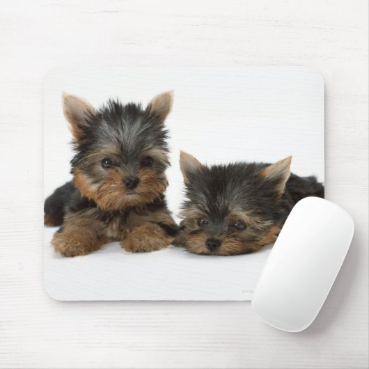 Yorkshire Terrier Muismat (Met muis)