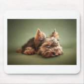 Yorkshire Terrier Muismat (Voorkant)
