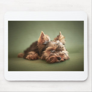 Yorkshire Terrier Muismat