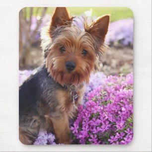 Yorkshire Terrier Muismat
