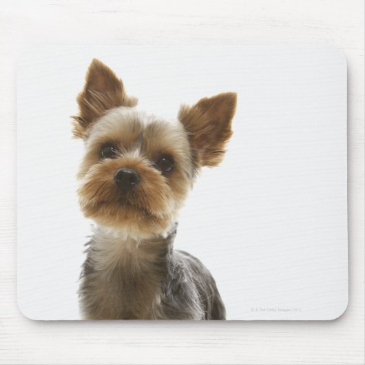 Yorkshire Terrier Muismat (Voorkant)