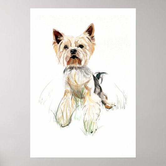 Yorkshire Terrier Muurkunst Poster – Aquarel (Voorkant)